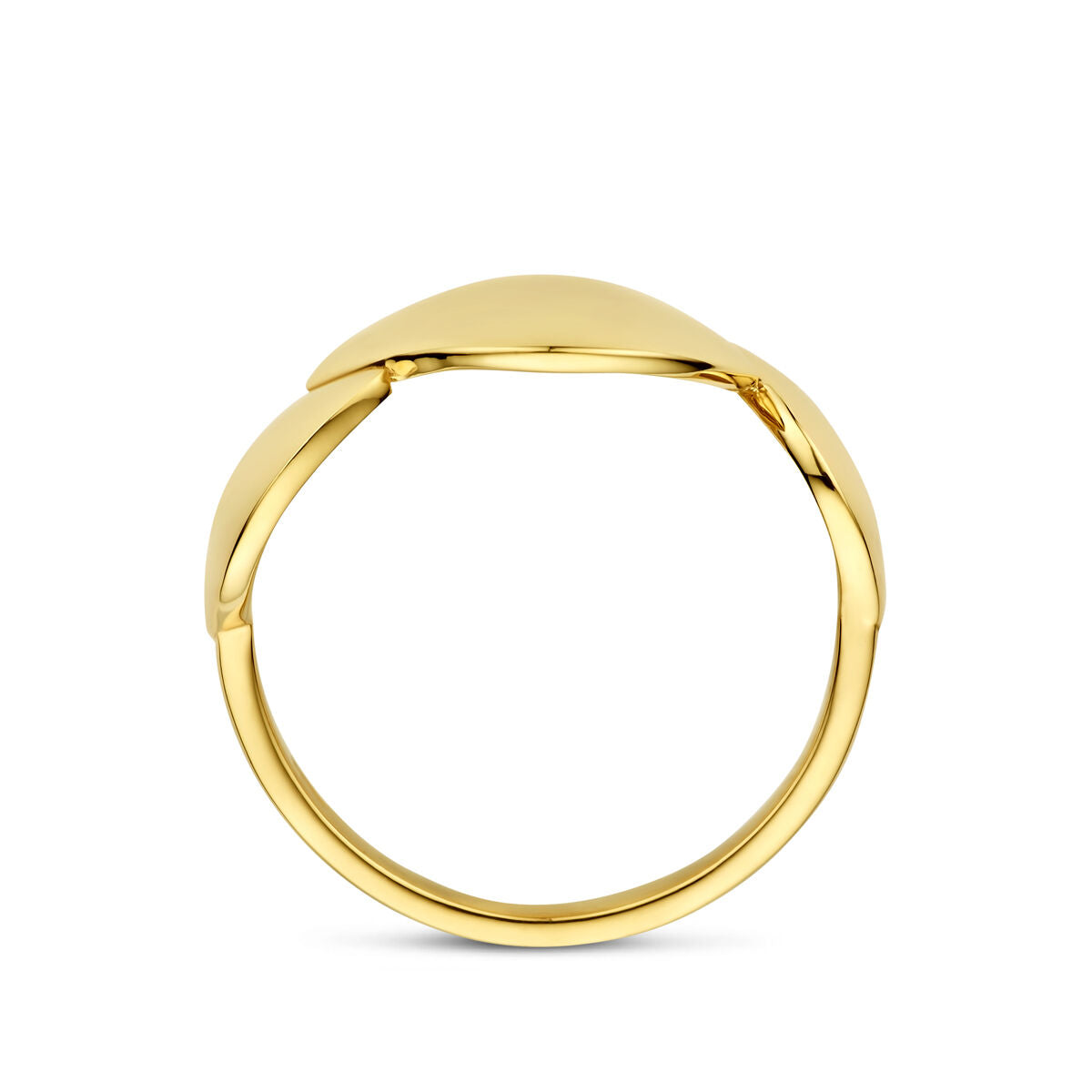 Fantasy Collection Ring 14K geelgoud