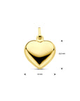 14K Geelgouden Hanger hart - 4005725 - PansiteNederland.nl