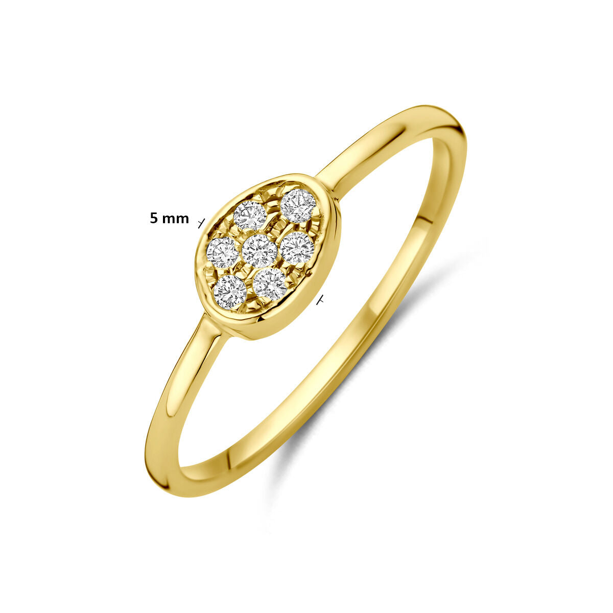 Fantasy Collection Ring diamant 0.07ct h si 14K geelgoud