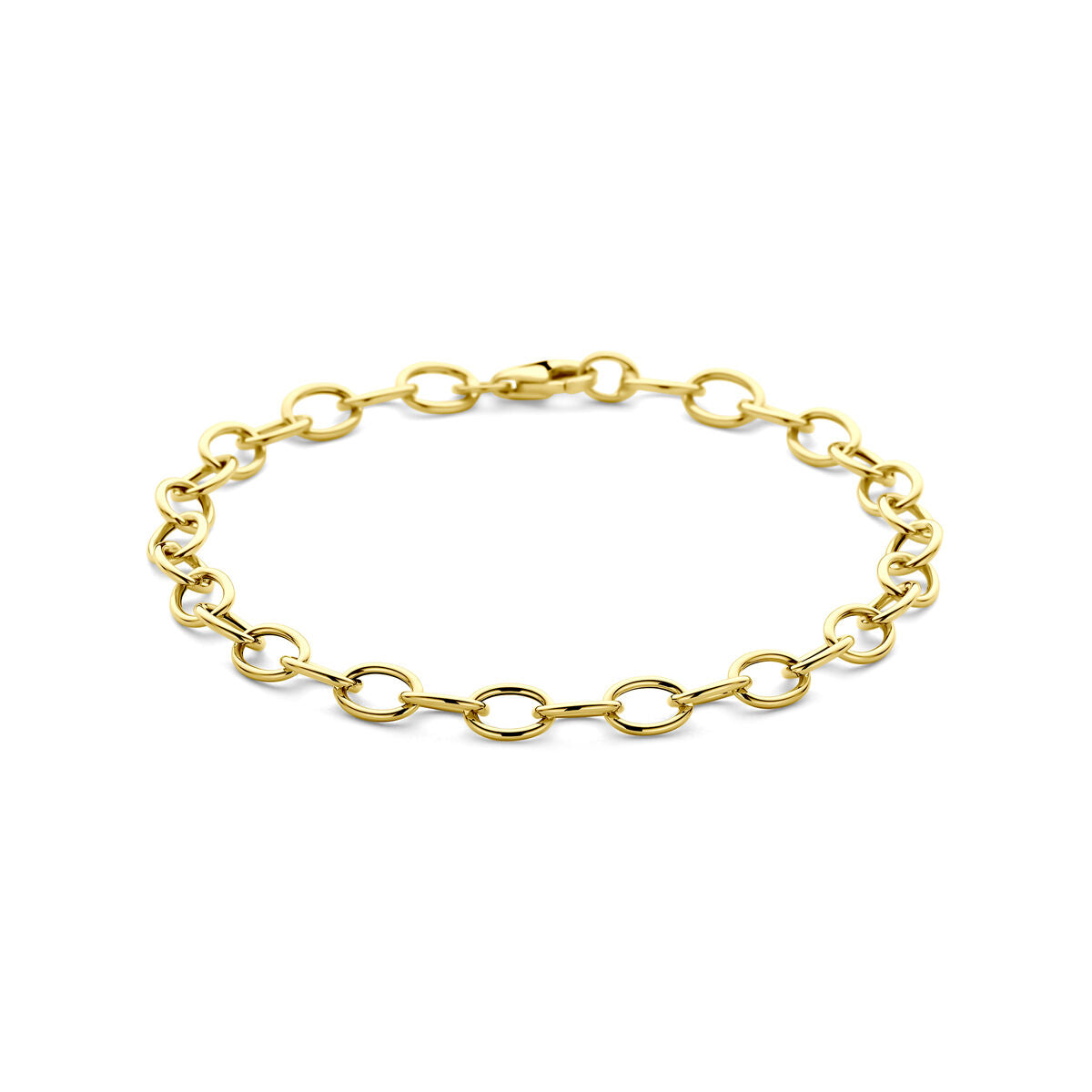 Fantasy Collection Armband anker 5,5 mm 19 cm 14K geelgoud