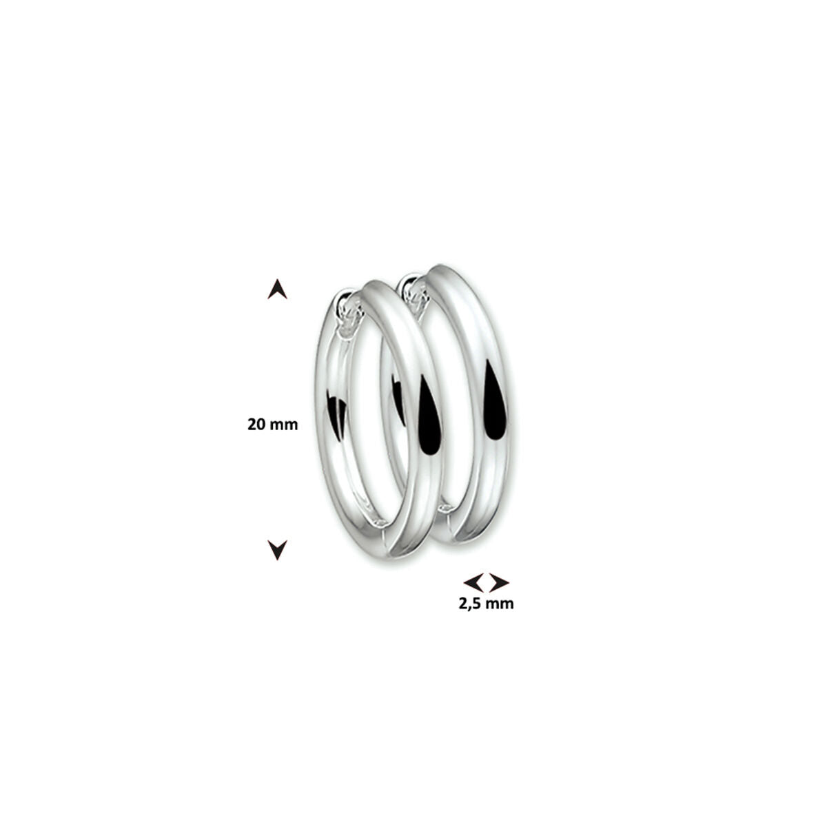 Fantasy Collection Oorbellen 2,5 mm rond zilver