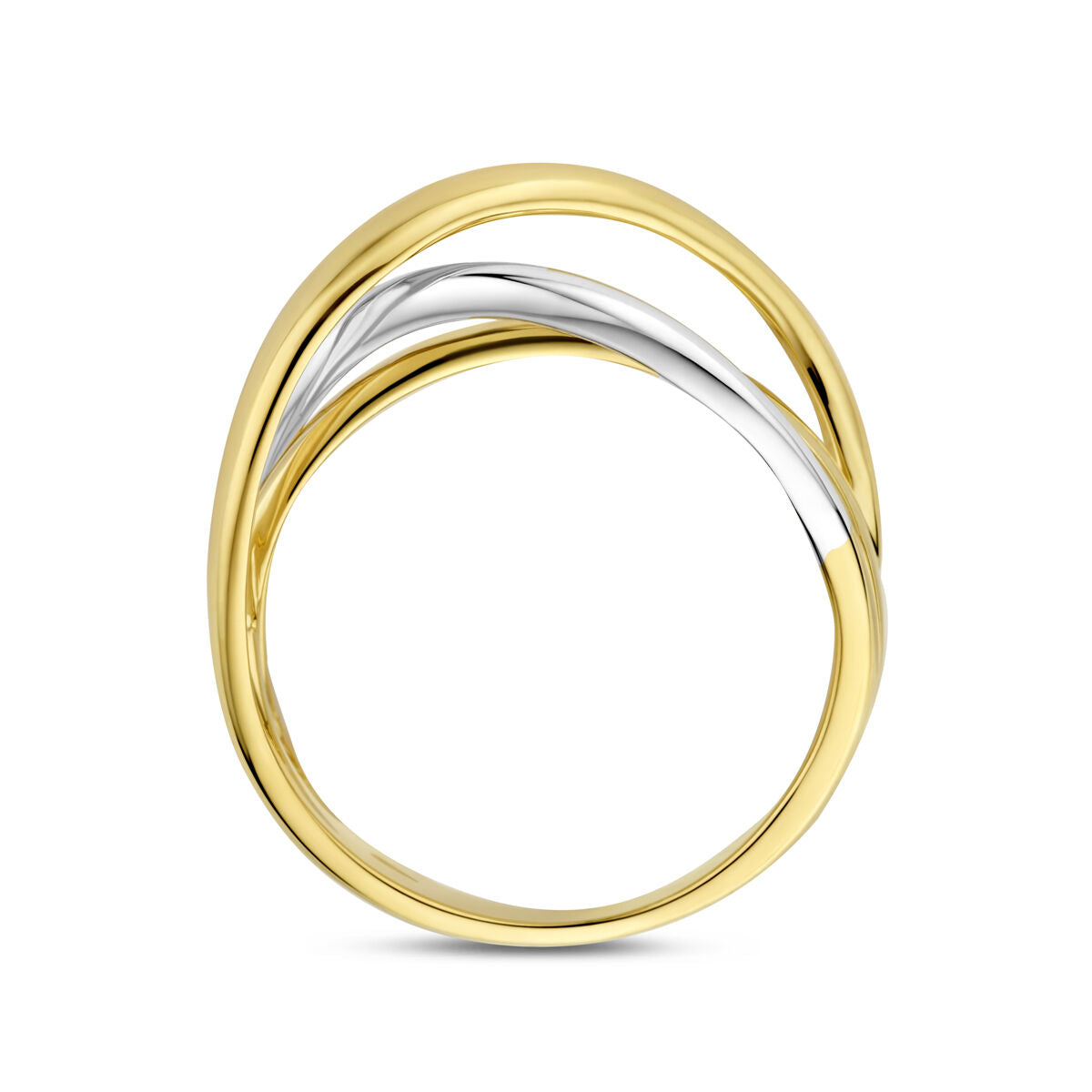 Fantasy Collection Ring 14K bicolor goud