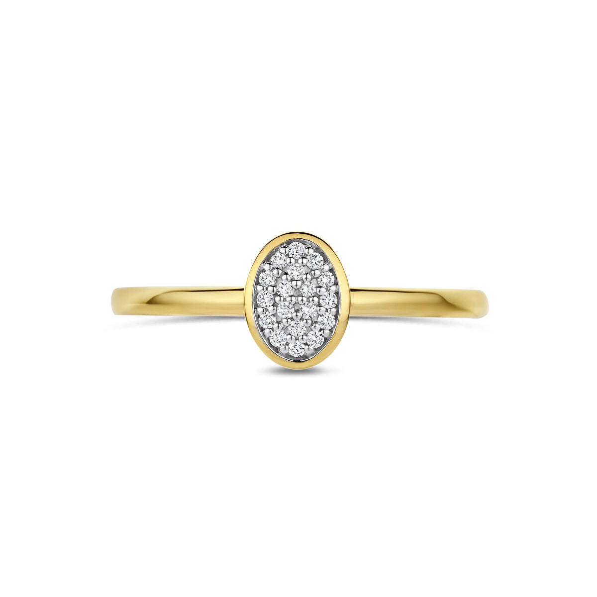 Fantasy Collection Ring diamant 0.06ct h si 14K geelgoud