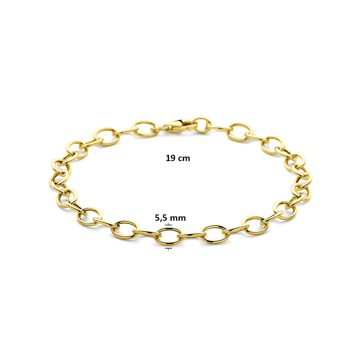 Fantasy Collection Armband anker 5,5 mm 19 cm 14K geelgoud