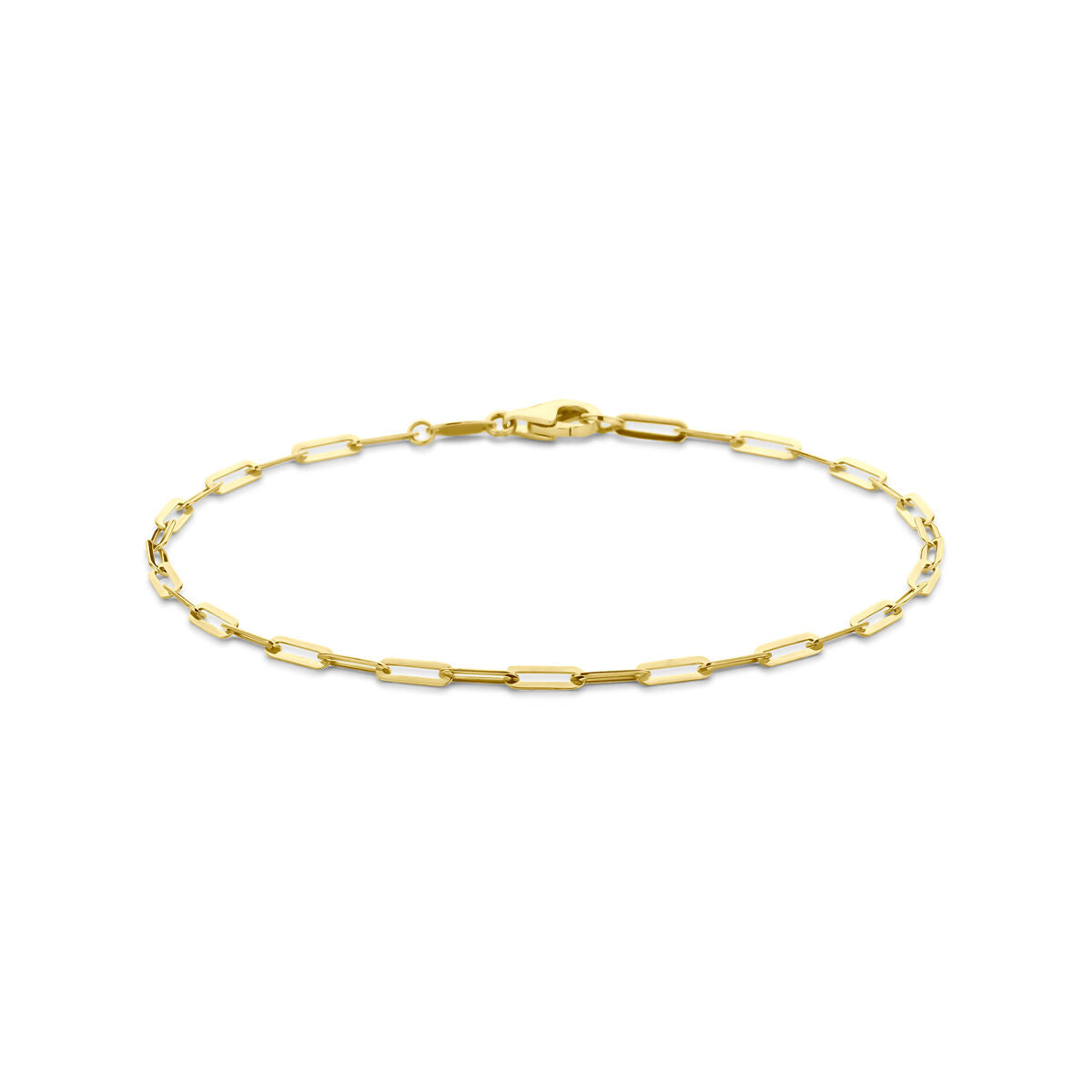 Fantasy Collection Armband anker 2,1 mm 19 cm 14K geelgoud