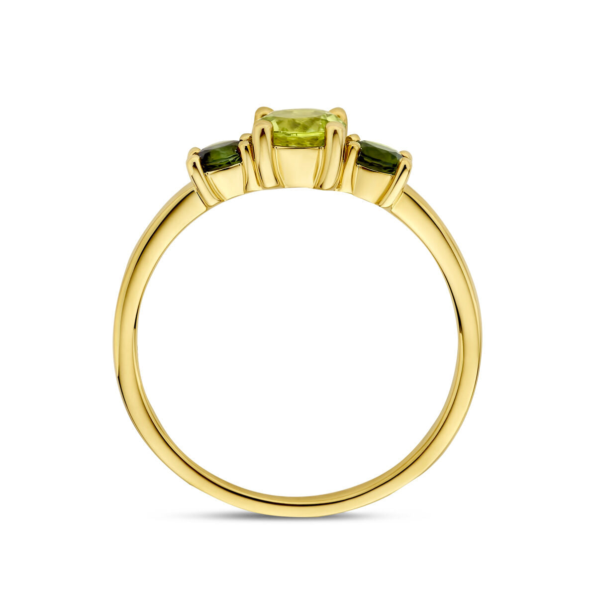 Fantasy Collection Ring peridot en groen toermalijn 14K geelgoud