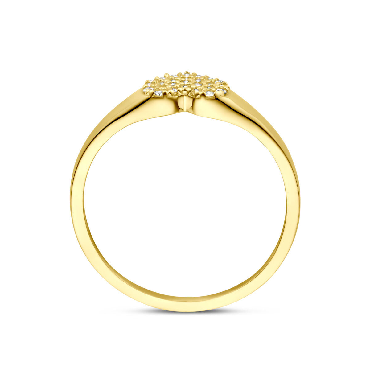 Fantasy Collection Ring hart zirkonia 14K geelgoud
