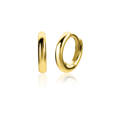 ZINZI 14K Gouden Oorbellen ZGO302