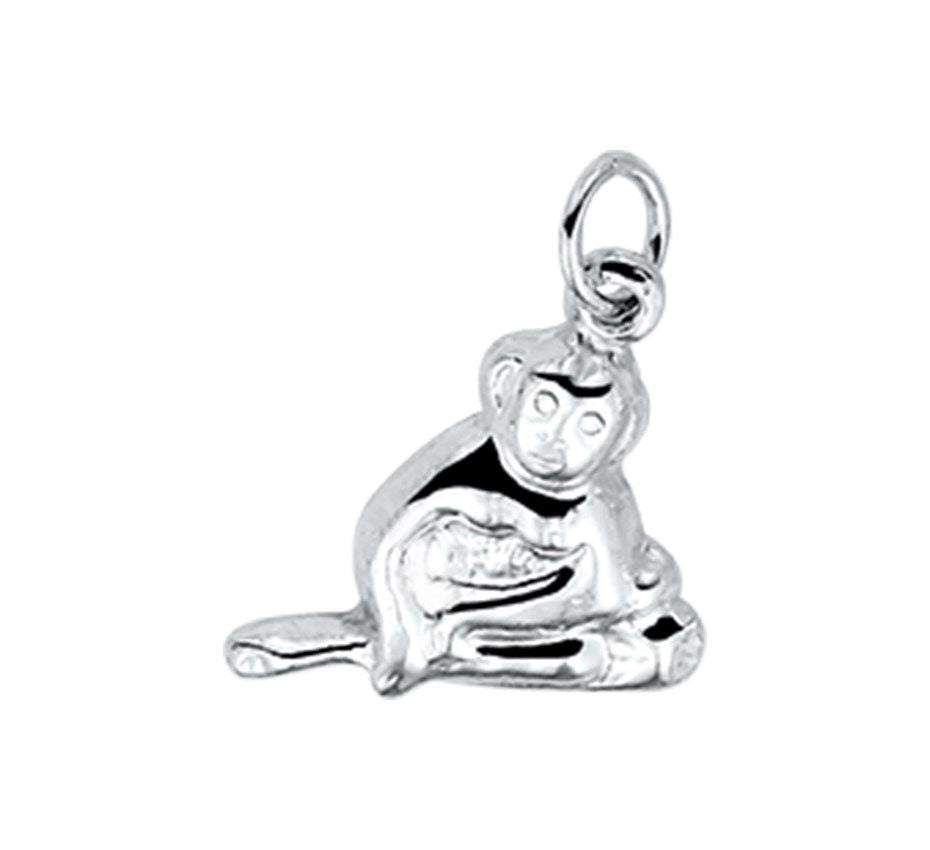 Fantasy Collection Hanger zilver - PSN1021721