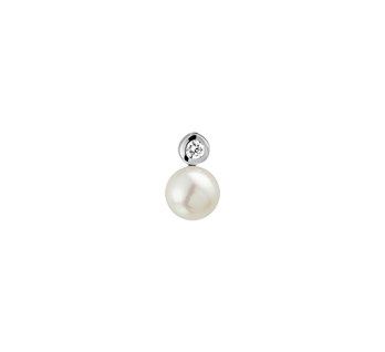 Fantasy Collection Hanger parel, zirkonia rond zilver - PSN1323323