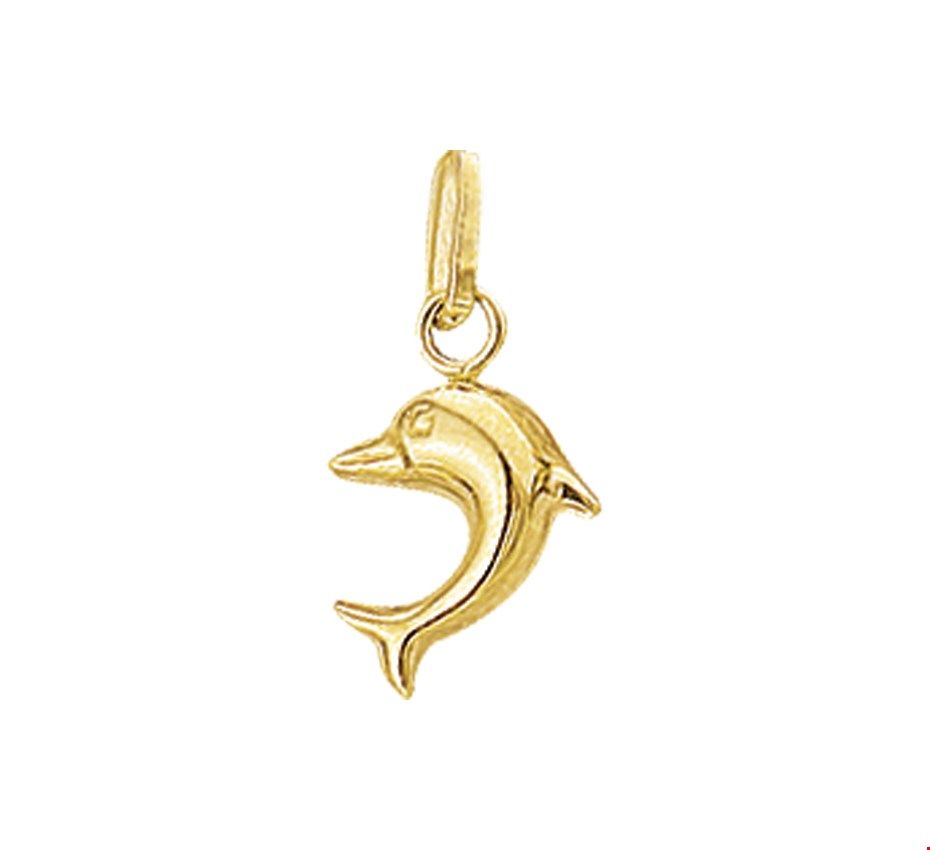 Fantasy Collection Hanger 14K geelgoud - PSN4001724