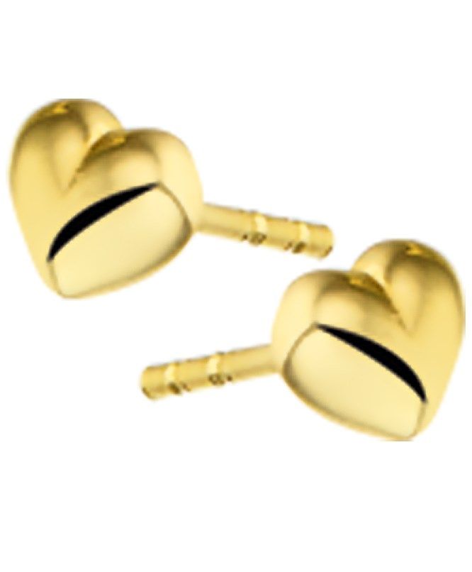 Oorknoppen hart - PSN4016963, exclusief en kwalitatief hoogwaardig. Ontdek nu!