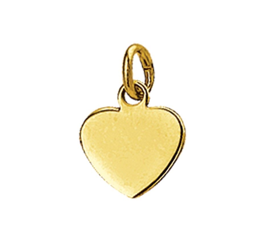 Fantasy Collection Graveerhartje hart 14K geelgoud hanger - PSN4018344