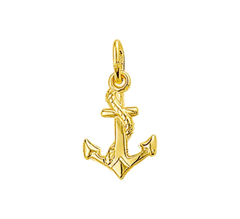 Fantasy Collection Hanger anker 14K geelgoud - PSN4018481