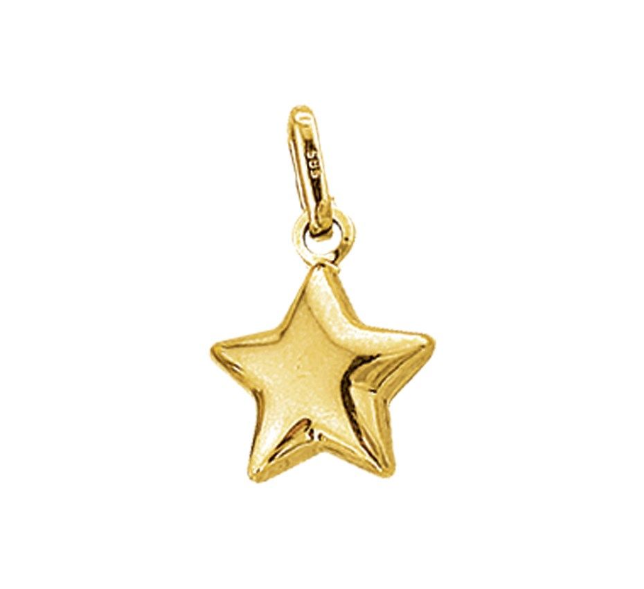 Fantasy Collection Hanger ster 11 mm 14K geelgoud - PSN4018515
