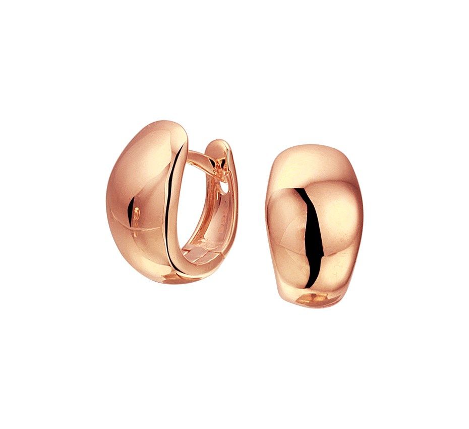 Fantasy Collection Oorbellen 14K geelgoud - PSN4400850