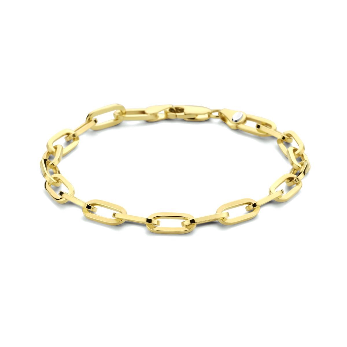Fantasy Collection Armband paperclip plat massief 5,0 mm 19 cm silgold