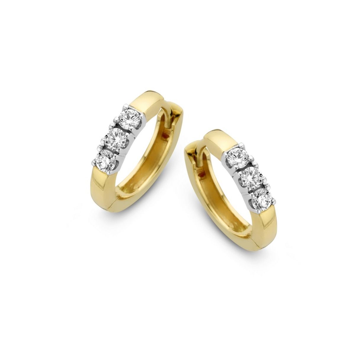Fantasy Collection Oorbellen 14K bicolor goud