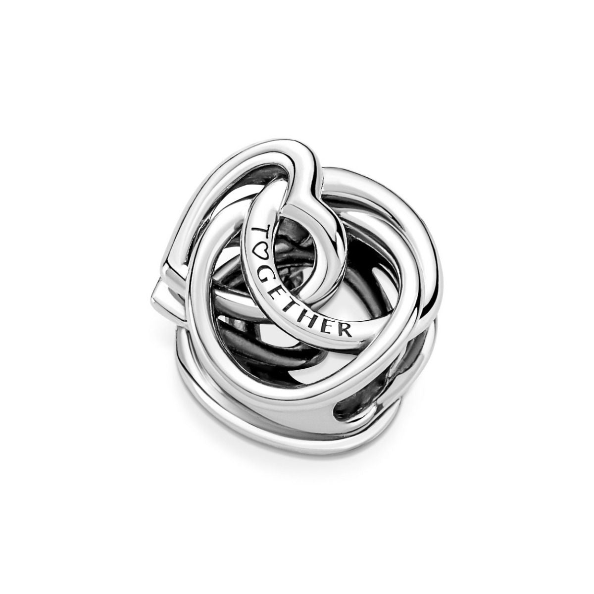 Pandora Family Always Encircled Heart Charm zilver - 791507C00