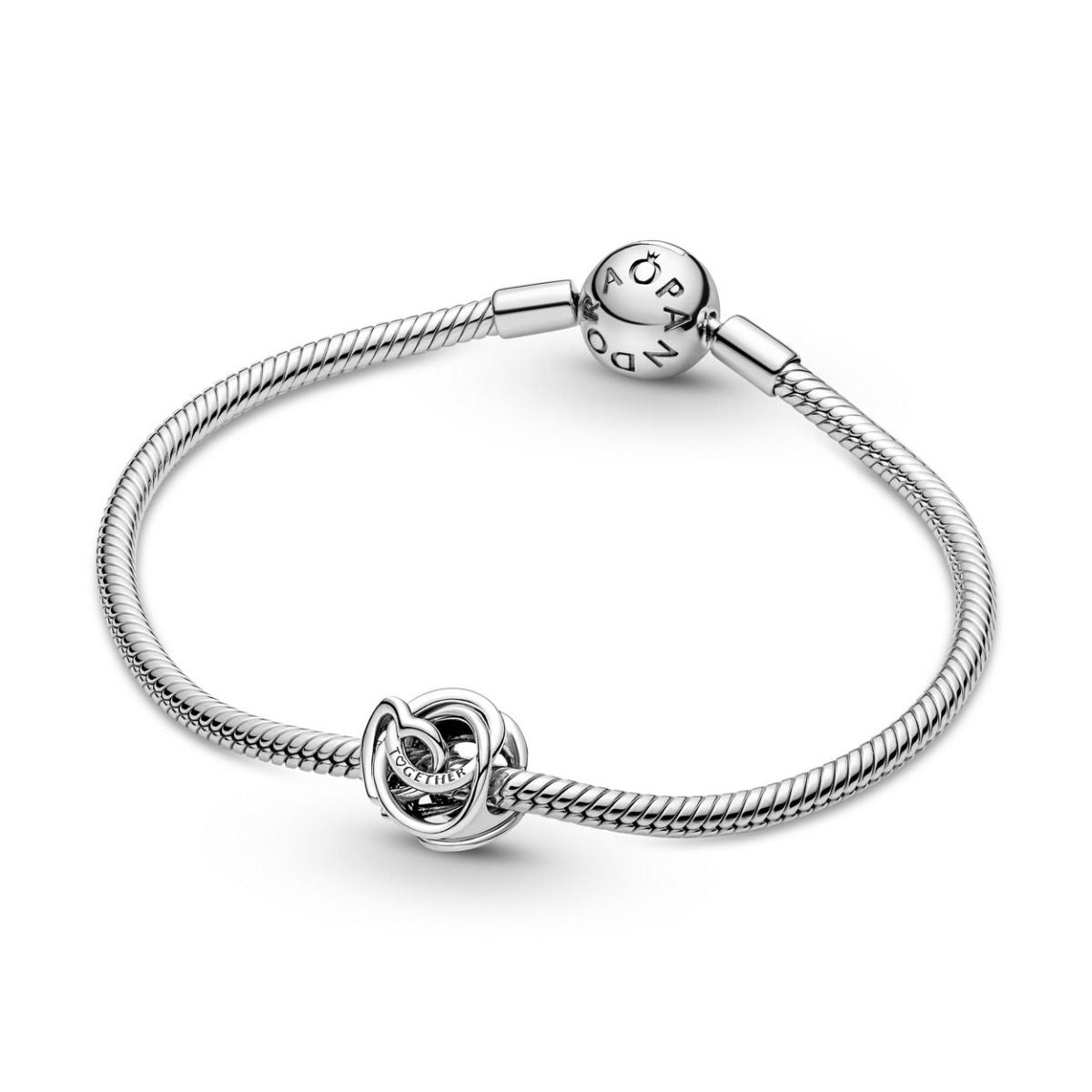Pandora Family Always Encircled Heart Charm zilver - 791507C00