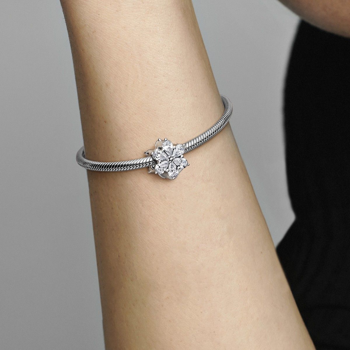 Pandora Sparkling Herbarium Cluster Bedel zilver - 792623C01