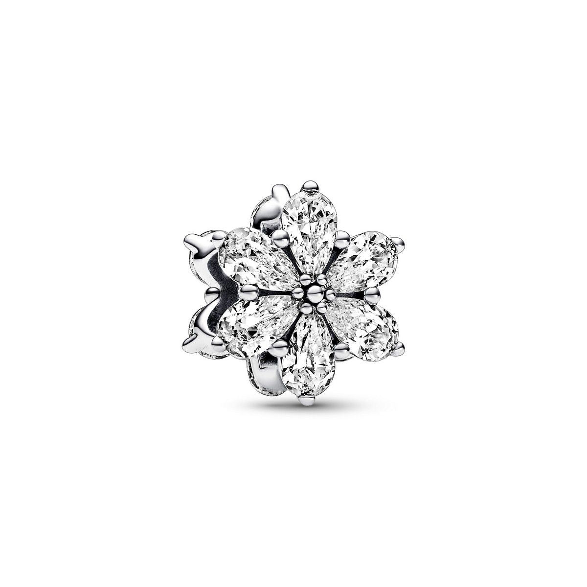Pandora Sparkling Herbarium Cluster Bedel zilver - 792623C01
