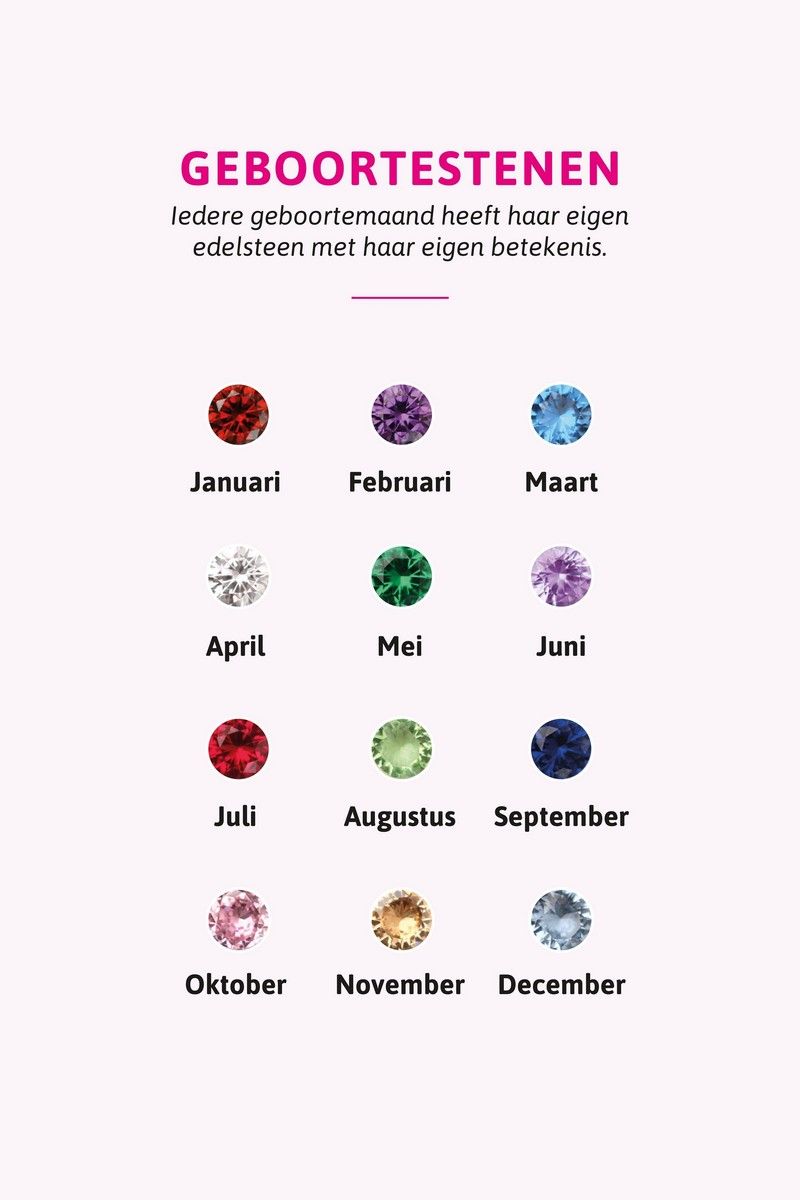ZINZI Zilveren Oorbedels met Rode Zirkonia ZICHZ-JAN