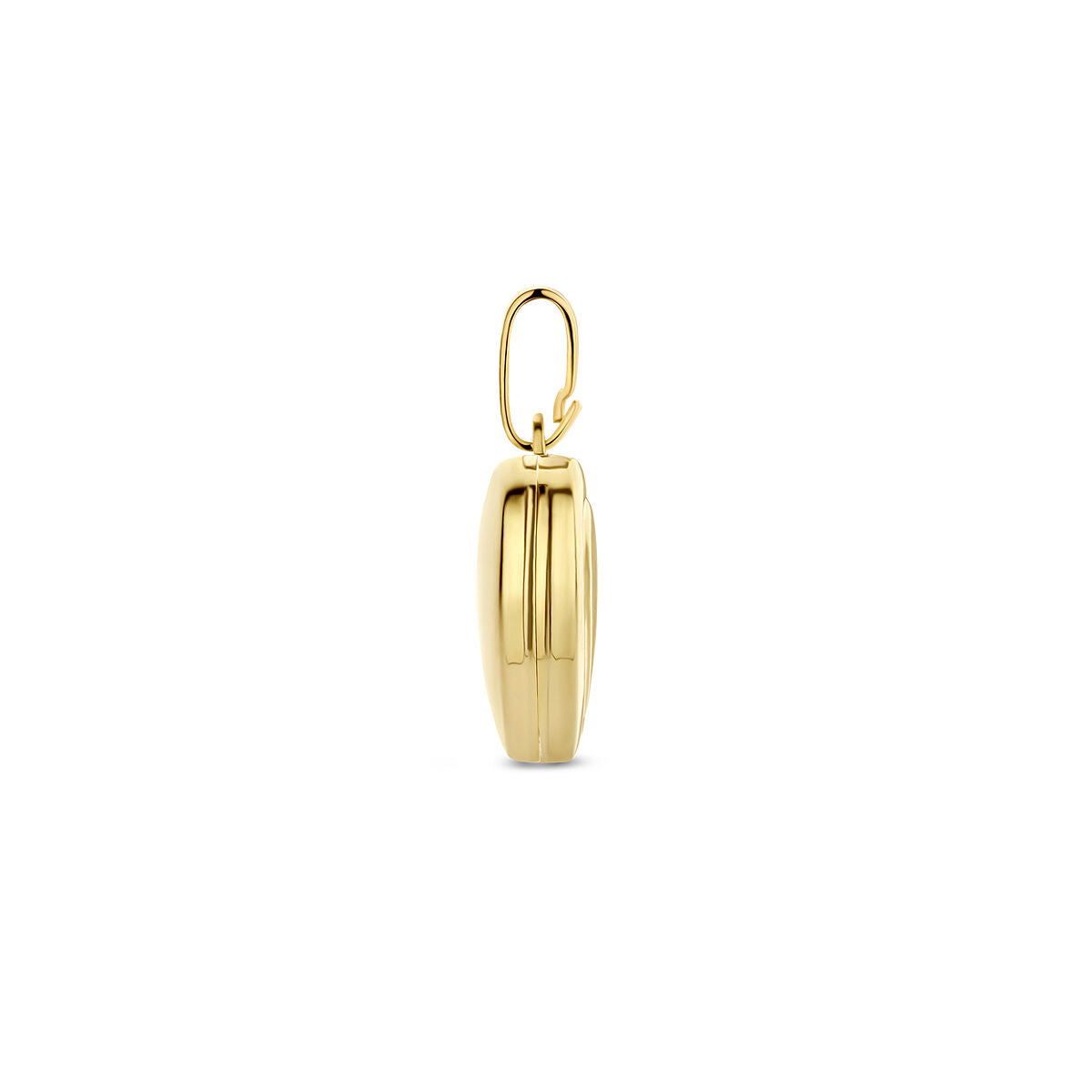 Hanger medaillon hart 9K geelgoud – 8000570