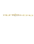 14K geelgoud collier paperclip plat 45 cm 4027294