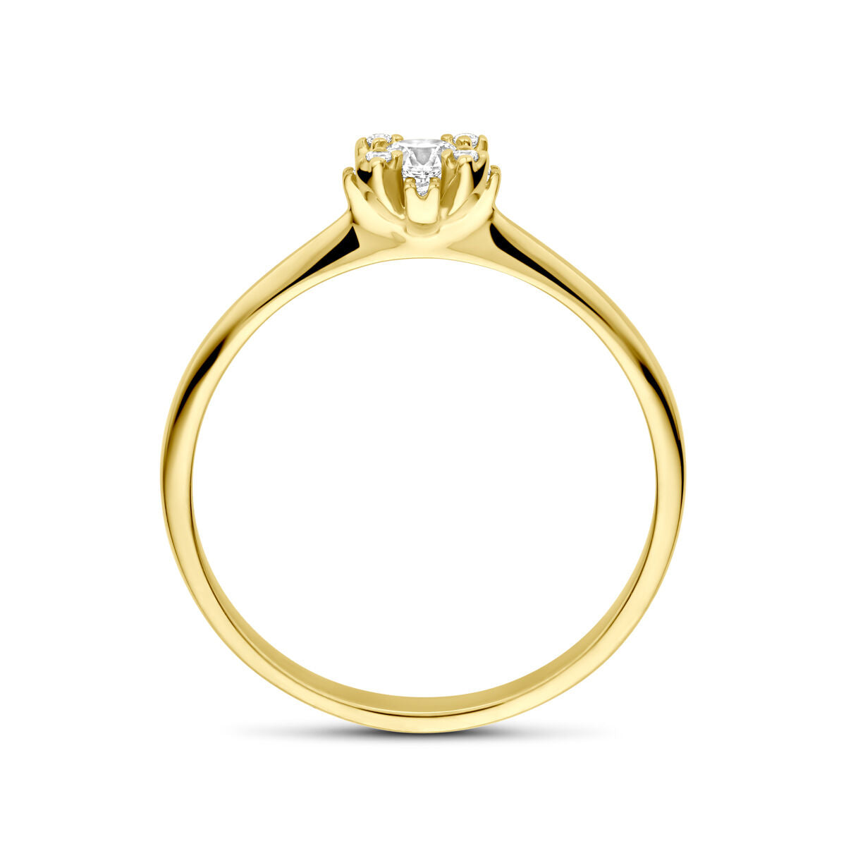 Fantasy Collection Ring rozet zirkonia 14K geelgoud