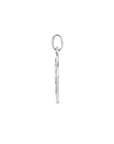 zilver gerhodineerd hanger paard poli/mat 16 mm 1340461 - PansiteNederland.nl