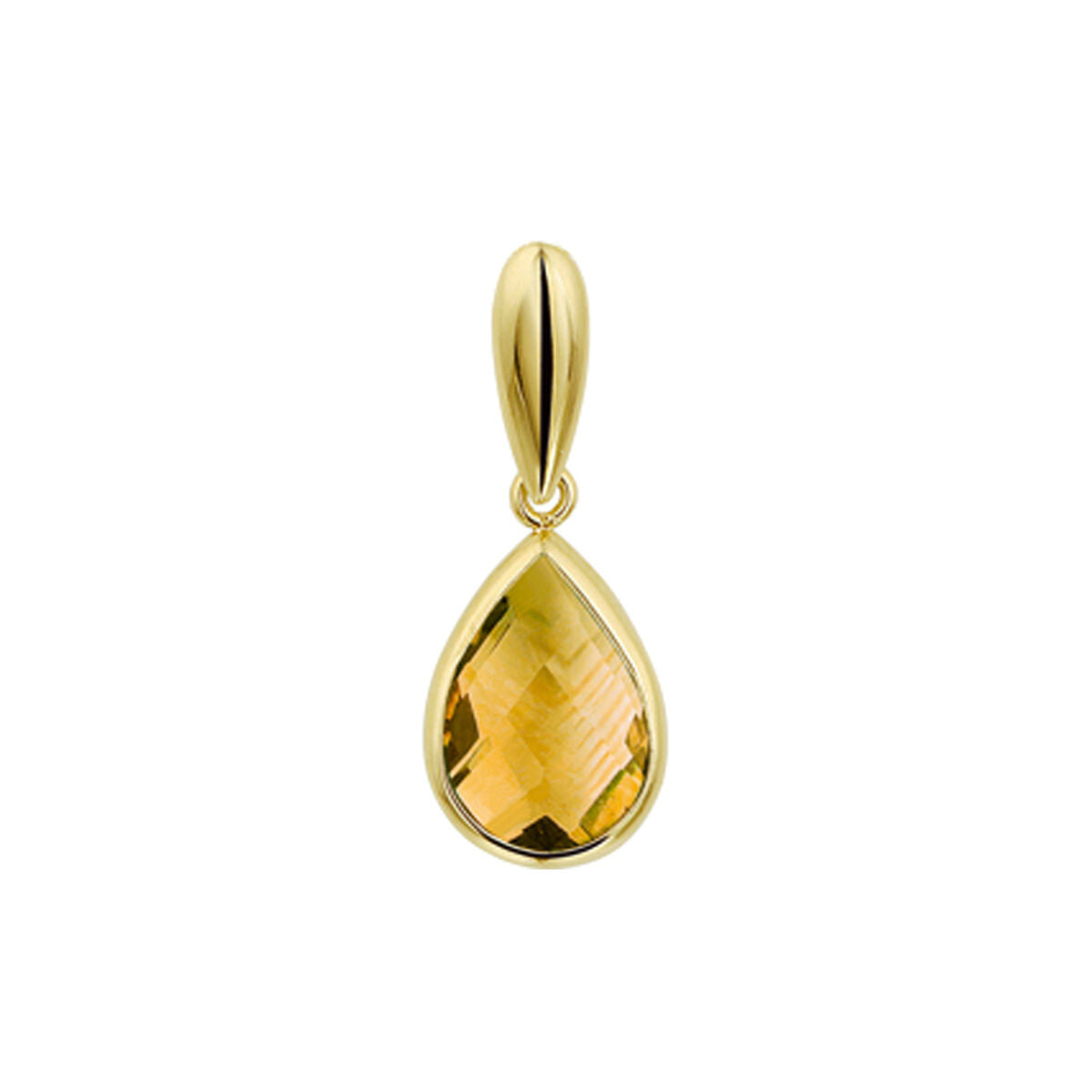 14K geelgoud hanger citrien 4027099 - PansiteNederland.nl