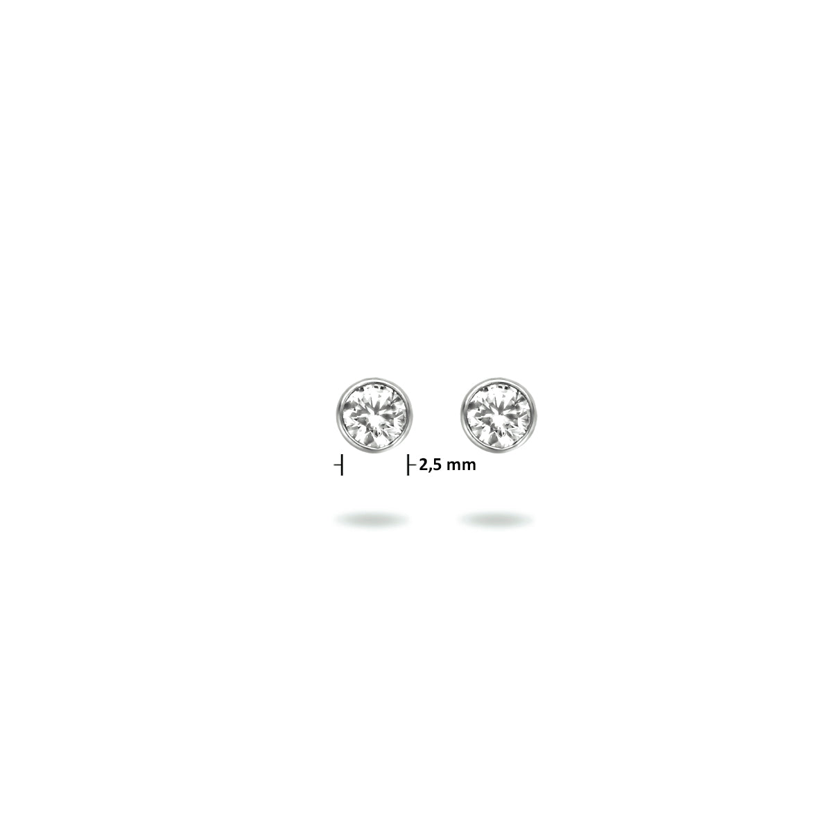 Oorknoppen zirkonia zetkast zilver 2,5 mm #Diameter steen (mm)_2.5