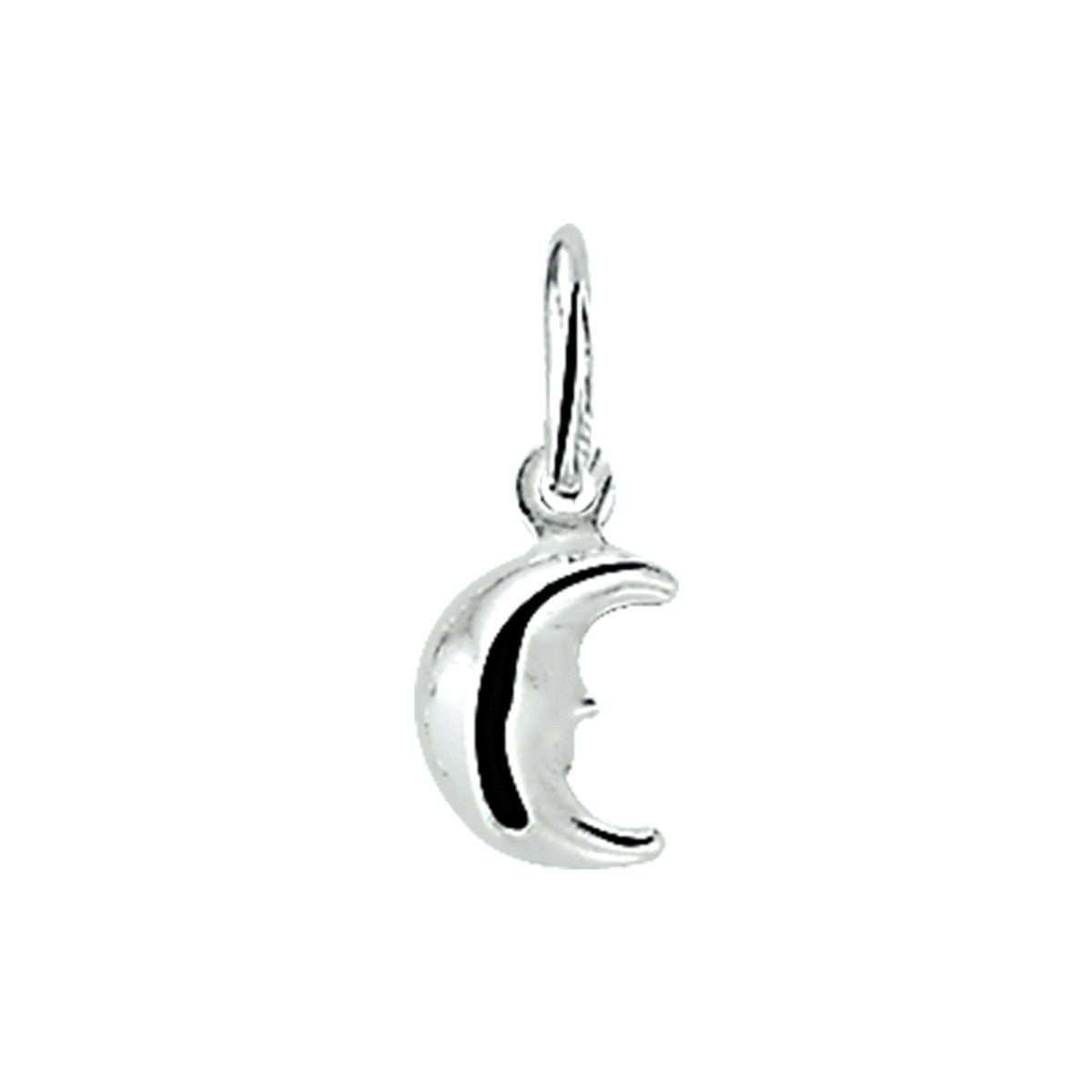 zilver hanger maan 1003269 - PansiteNederland.nl