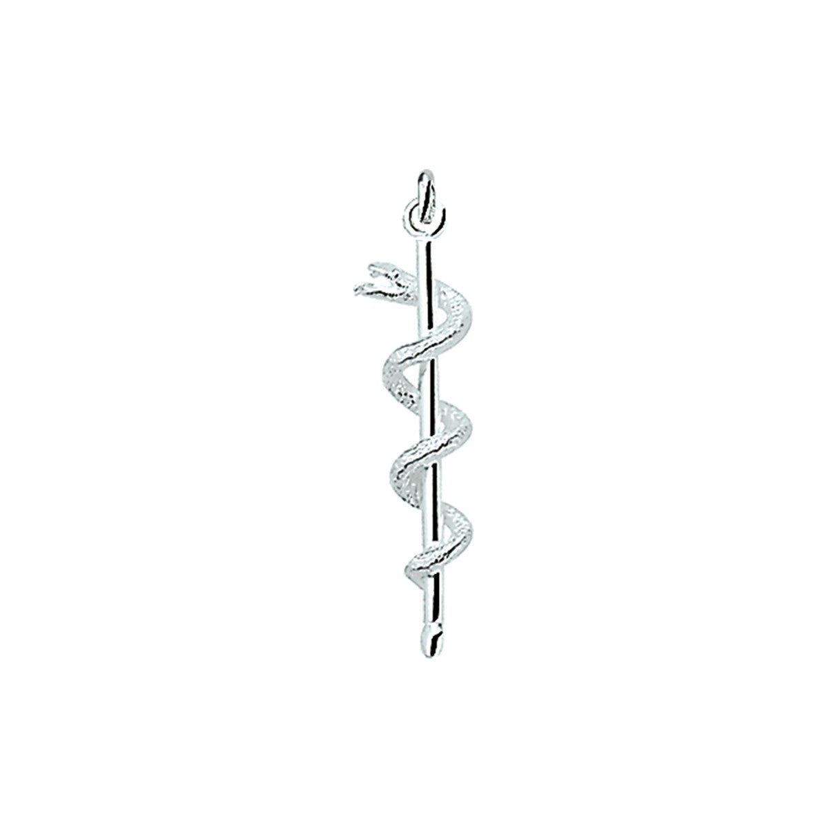 zilver hanger esculaap 1003378 - PansiteNederland.nl