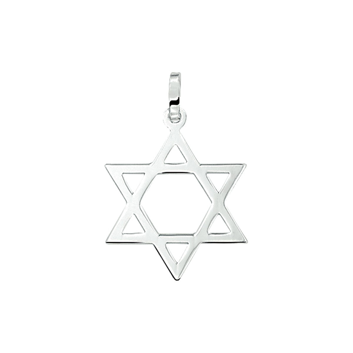 zilver hanger davidster 1003468 - PansiteNederland.nl