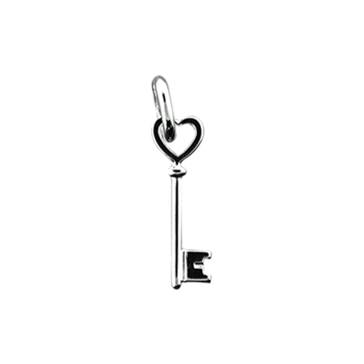 zilver hanger sleutel 1003518 - PansiteNederland.nl
