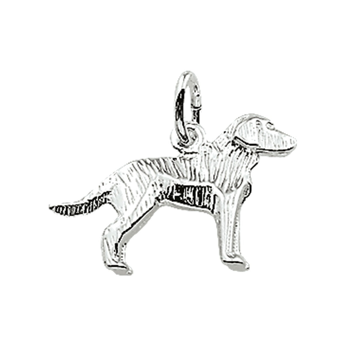 zilver hanger labrador 1003650 - PansiteNederland.nl