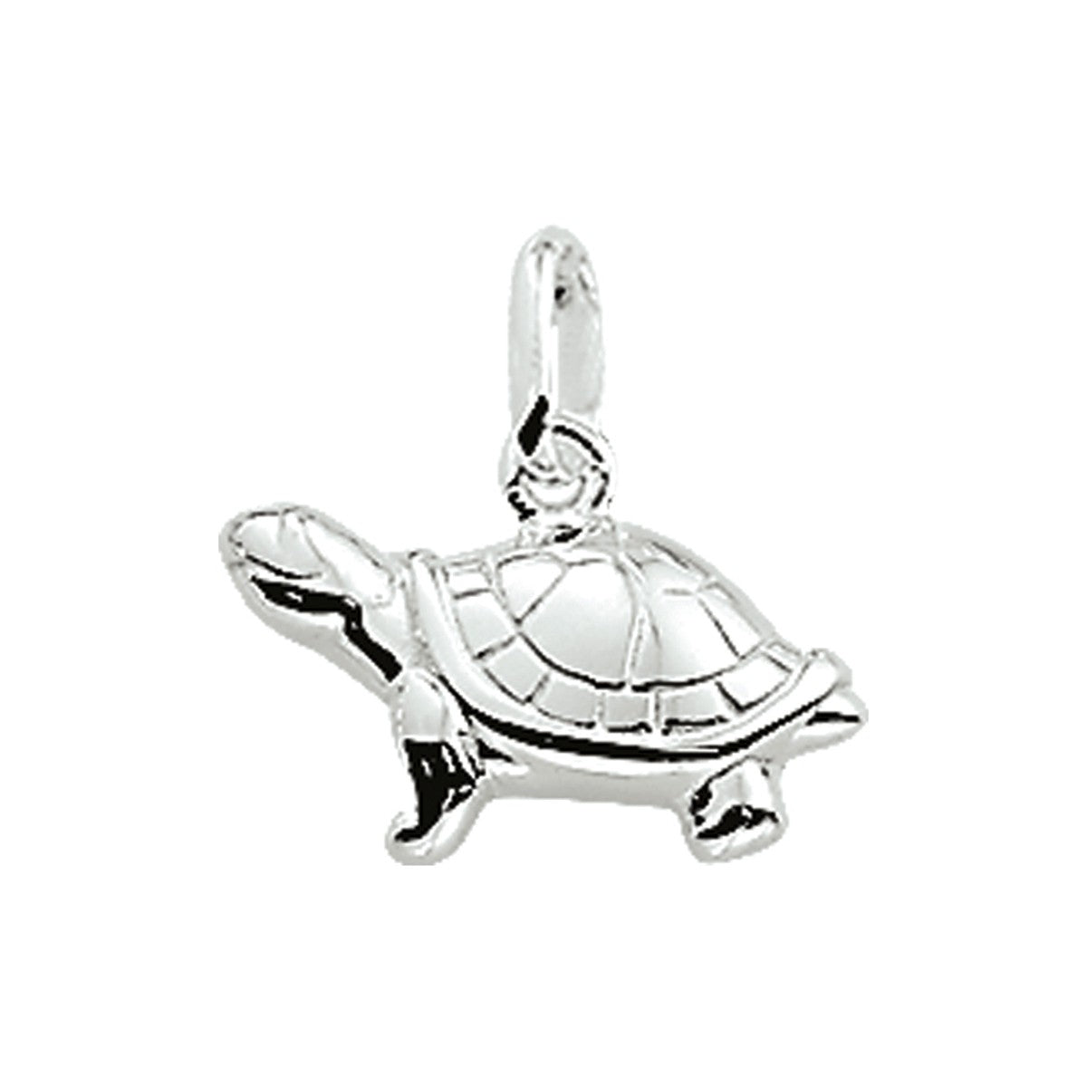 zilver hanger schildpad 1003899 - PansiteNederland.nl