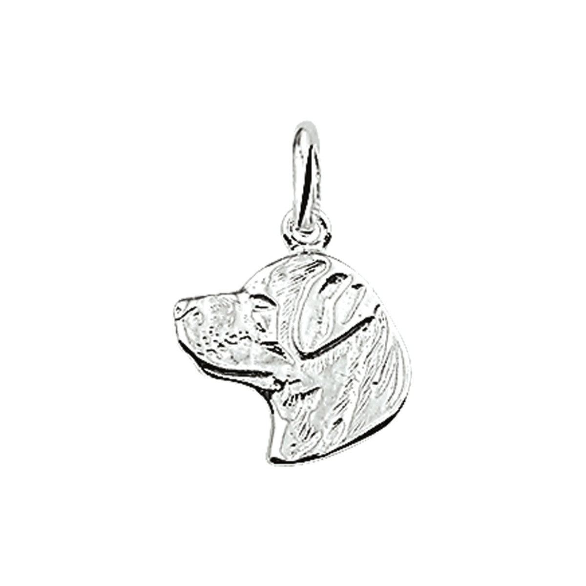 zilver hanger rottweiler kop 1004112 - PansiteNederland.nl