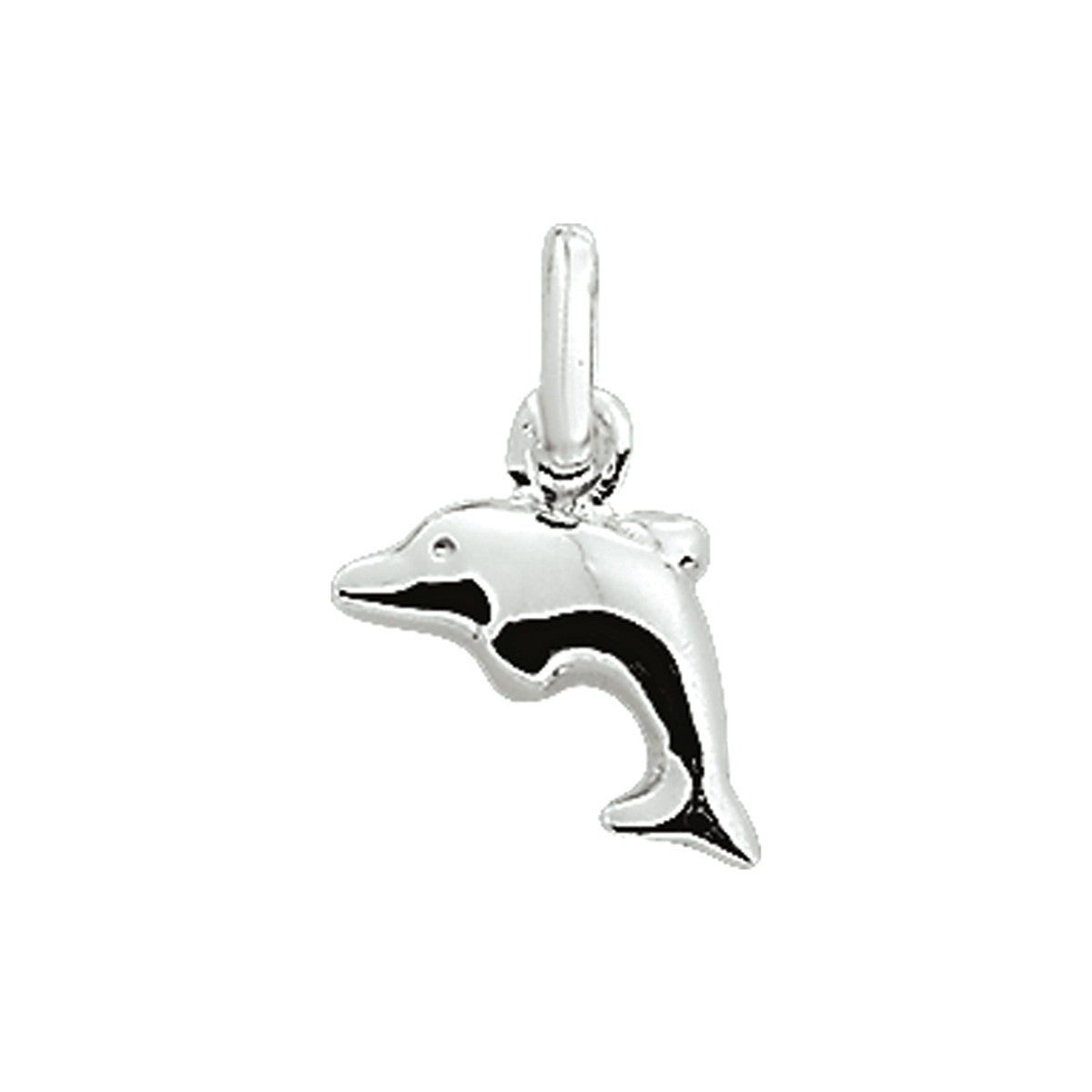 zilver hanger dolfijn 1007958 - PansiteNederland.nl
