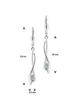 Zilver Oorhangers Zirkonia Poli/Mat Brisur Haak 1013917 - PansiteNederland.nl