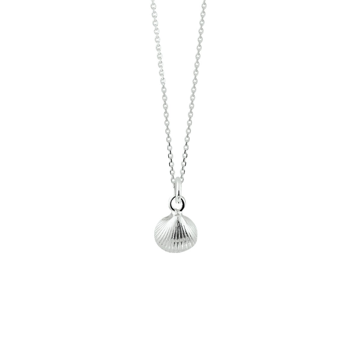 zilver wit collier schelp 41 + 4 cm 1021713 - PansiteNederland.nl