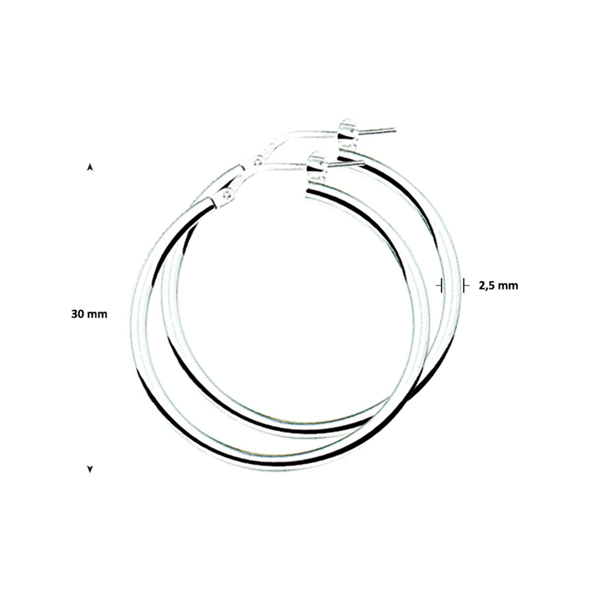 Zilver Gerhodineerd Oorringen 2,5 MM Ronde Buis 1304775 - PansiteNederland.nl