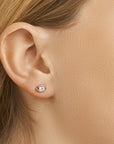 Zilver Gerhodineerd Oorknoppen Zirkonia 1311107 - PansiteNederland.nl