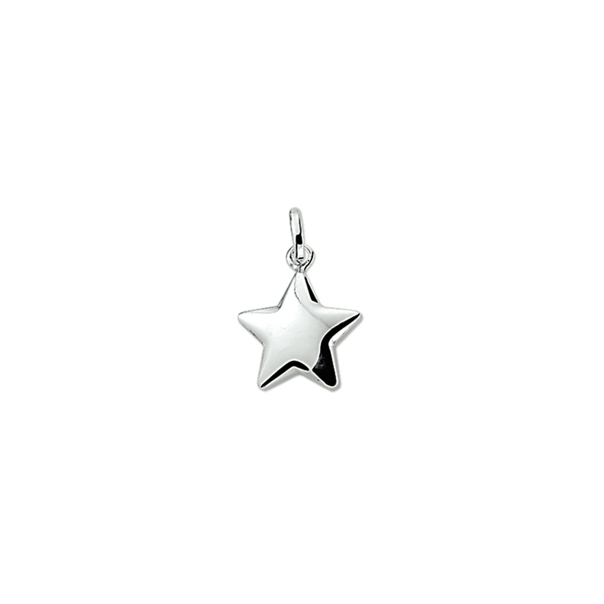 zilver gerhodineerd hanger ster 1323142 - PansiteNederland.nl