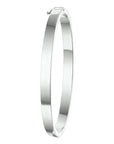 bangle scharnier 5 mm vlakke buis zilver gerhodineerd