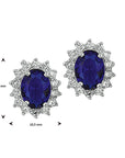 Zilver Gerhodineerd Oorknoppen Zirkonia En Synthetische Saffier Halo 1326186 - PansiteNederland.nl