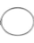 Zilver Gerhodineerd Bangle Scharnier Ronde Buis 3 X 60 Mm 1328174 - PansiteNederland.nl