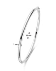 Zilver Gerhodineerd Bangle Scharnier Ronde Buis 3 X 60 Mm 1328174 - PansiteNederland.nl